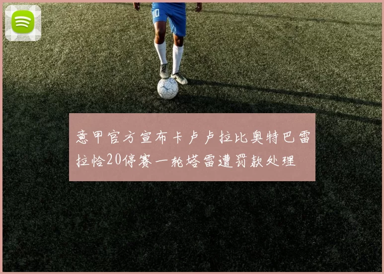 意甲官方宣布卡卢卢拉比奥特巴雷拉恰20停赛一轮塔雷遭罚款处理